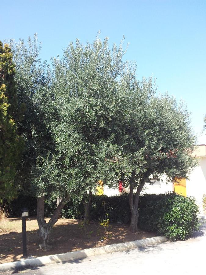 מודוניו Hotel Giardino מראה חיצוני תמונה