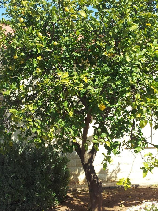 מודוניו Hotel Giardino מראה חיצוני תמונה