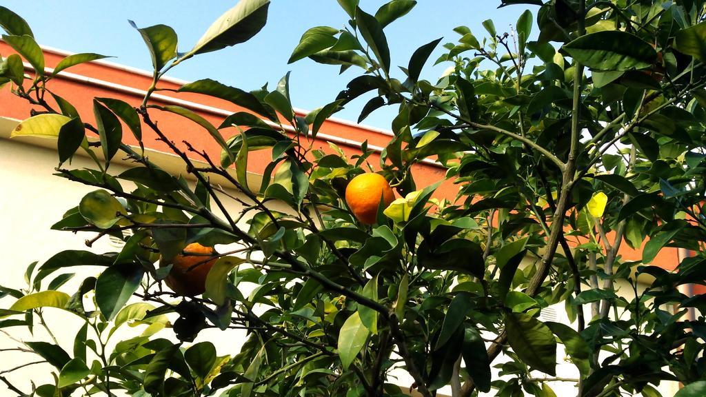 מודוניו Hotel Giardino מראה חיצוני תמונה