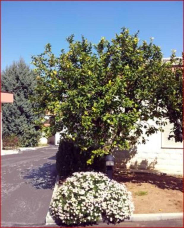 מודוניו Hotel Giardino מראה חיצוני תמונה